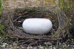 The Nest | Dartford Living