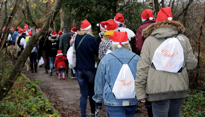 ellenor winter walk ellenor winter walk