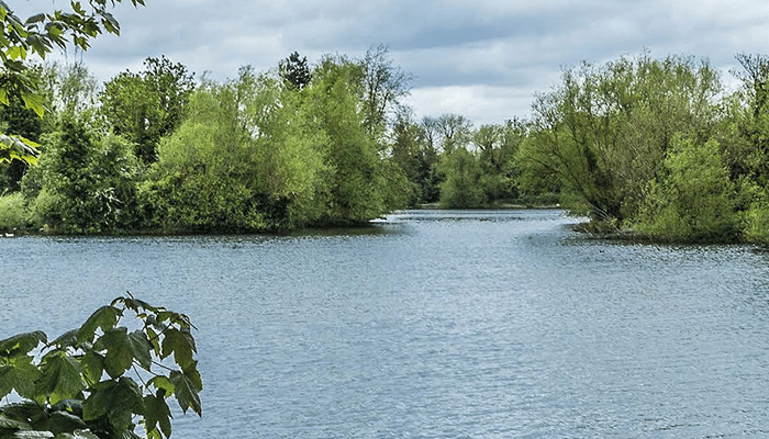 brooklands lakes brooklands lakes