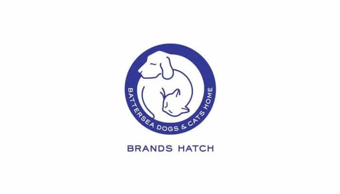 Meet the BFC – Battersea Brands Hatch take in giant cat