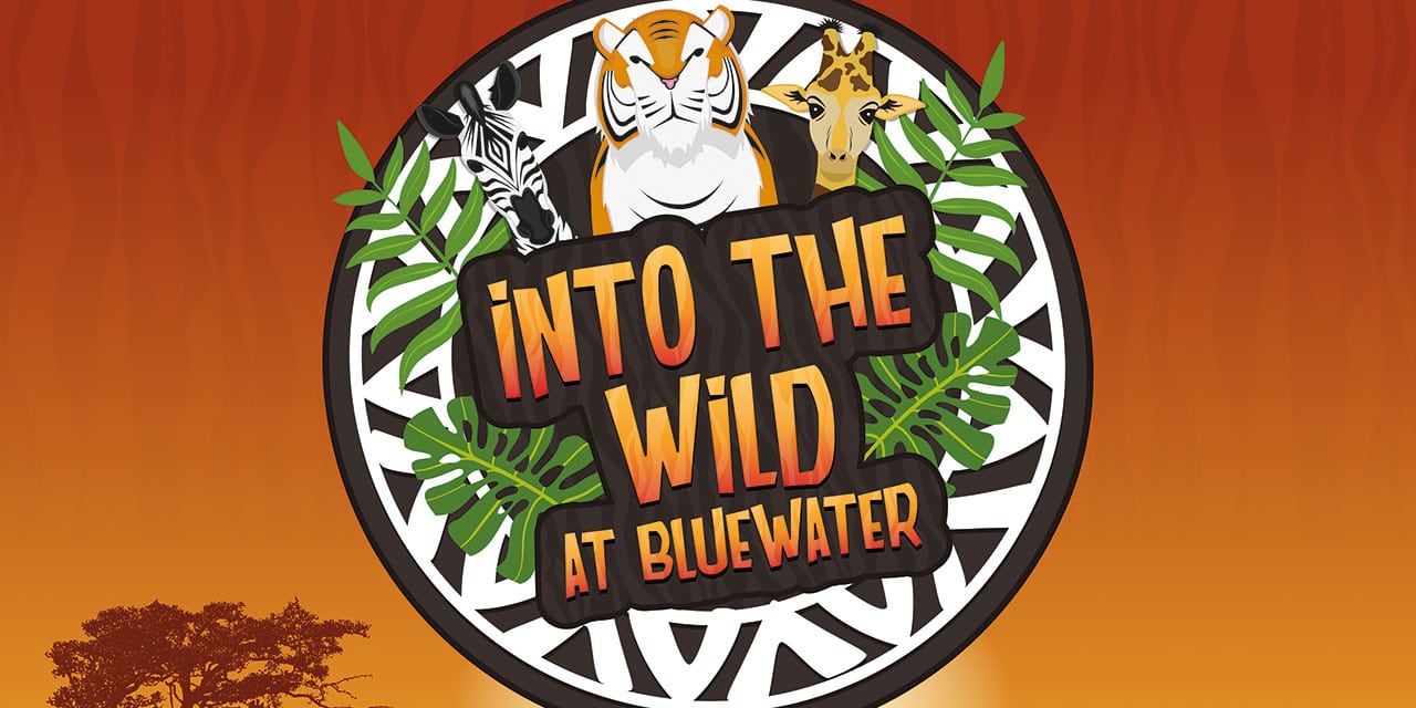 Have a Fun-packed Summer at Bluewater with The Beach, Into The Wild Animal Trail and Pixie Valley