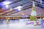 Bluewater Ice Rink