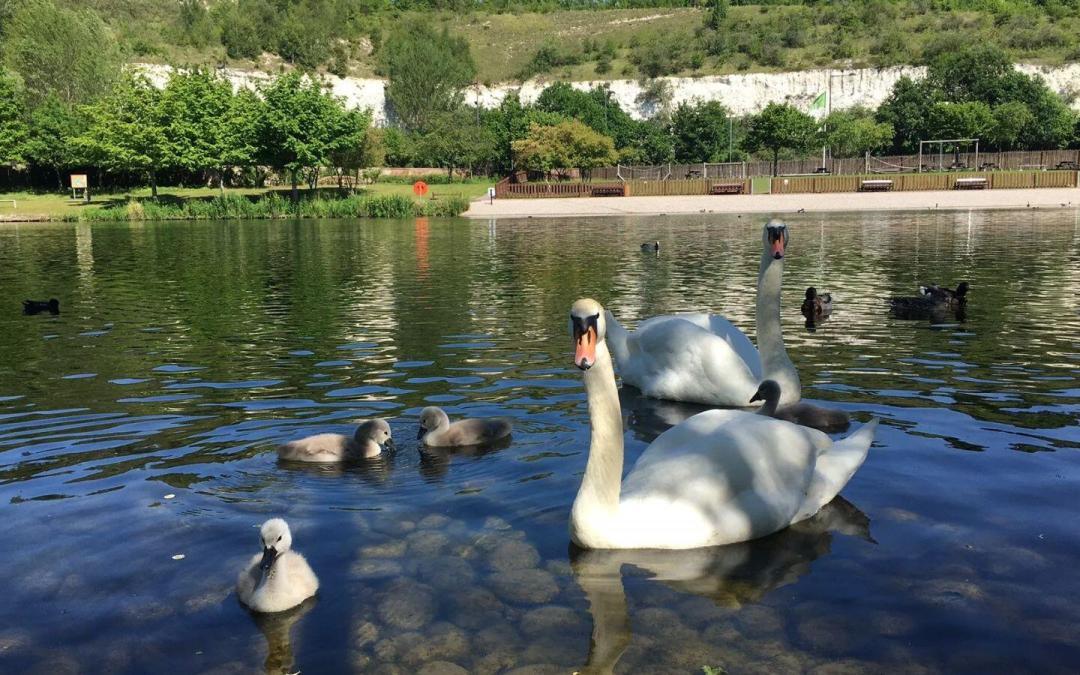 Bluewater Shopping Centre awarded the coveted Green Flag Award as it is officially recognised as one of the country’s best parks
