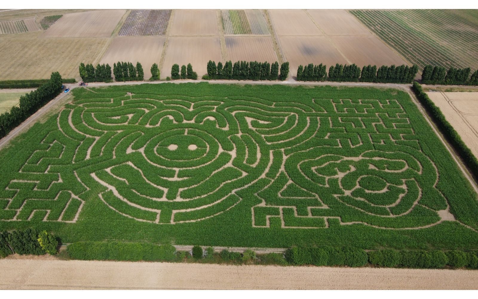 maise maze maise maze